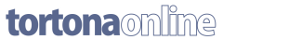 Site Logo in Footer