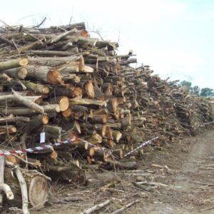 Per posare una recinzione sradicano 700mq di bosco: deferiti in due