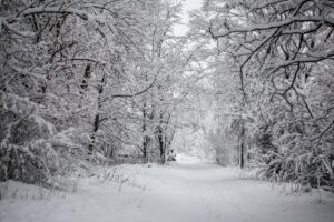 Allerta neve: non sottovalutate i rischi