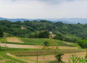 Ferie di prossimità
