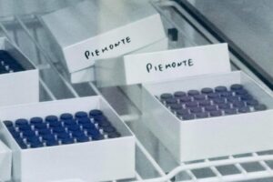 Prosegue la campagna: oggi 8.836 dosi in Piemonte