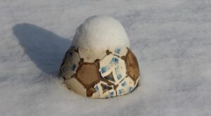La neve ferma (quasi) tutti: gioca solo l’Eccellenza