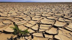 Siccità, la posizione della regione all’Osservatorio di Distretto del Po