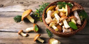 Agnolotti e sapori d’autunno, domenica da golosi