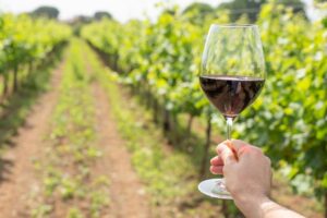 Degustazioni, castelli aperti e feste: cosa fare domenica