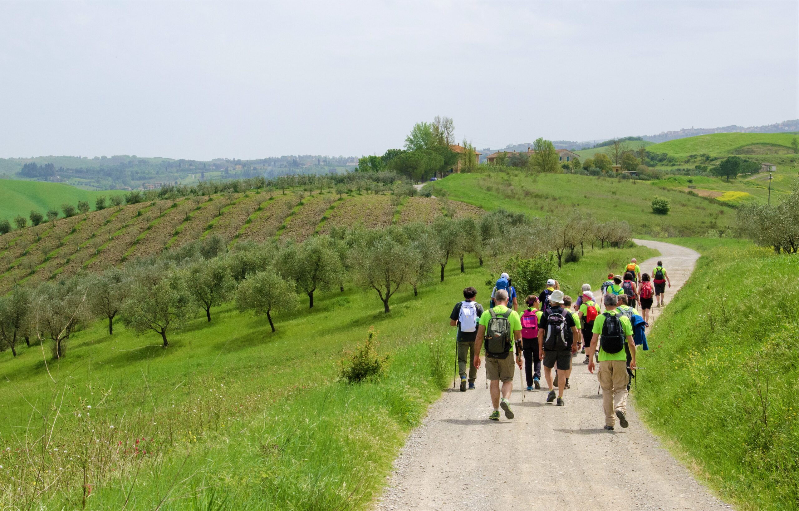 La ‘Pietra Verde’ festeggia 23 anni di iniziative