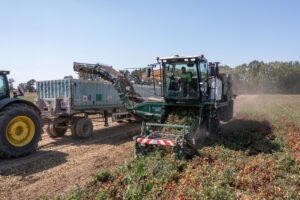 Tomato Farm: arriva la digitalizzazione delle filiere agroalimentari