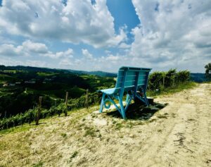Eventi speciali nel Monferrato: un calendario di escursioni tematiche da non perdere