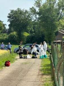Tra spazzatura e solitudine: il dramma silenzioso di una donna e dei suoi animali