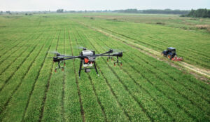 Maltempo d’agosto, danni alle aziende agricole: risarcimenti, domande online
