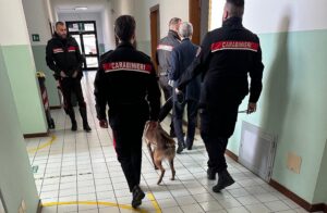 Controlli con i cani antidroga dei Carabinieri nelle scuole