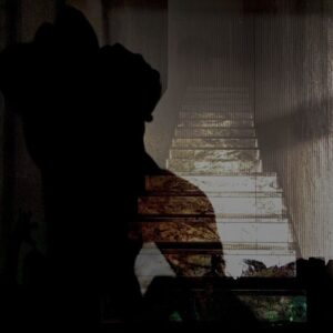 ‘Sbarre di solitudine’: quando il teatro diventa impegno civile