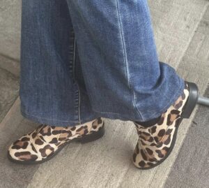 Francesine di cavallino