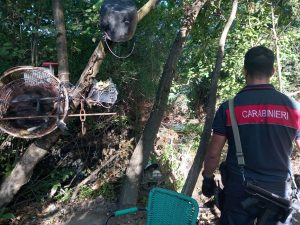 Carbonara Scrivia, blitz dei Carabinieri sul fiume: smantellati i bivacchi dei pusher