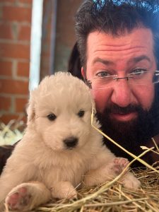Capogrosso, da Tortona all’Australia con i maremmani