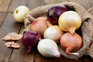 Tradizione, sapori e ballo: scatta la sagra della Cipolla